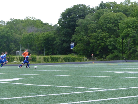 P1050961 (06-11-2016 17:01)