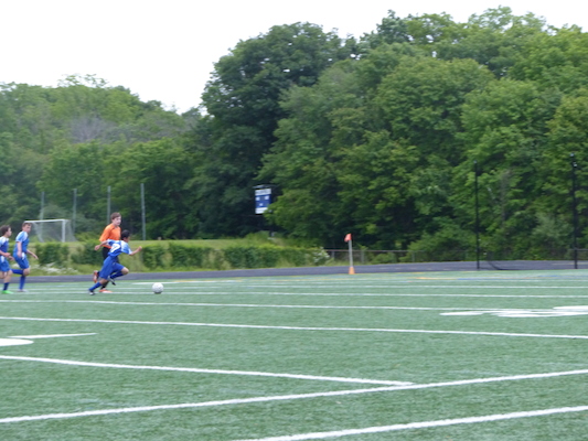 P1050962 (06-11-2016 17:01)