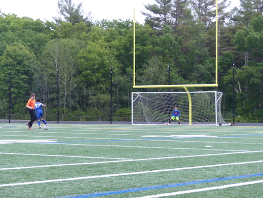 P1050964 (06-11-2016 17:01)