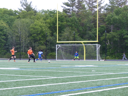 P1050965 (06-11-2016 17:01)