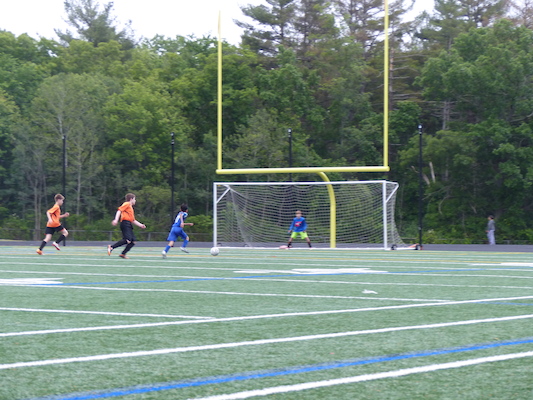 P1050966 (06-11-2016 17:01)