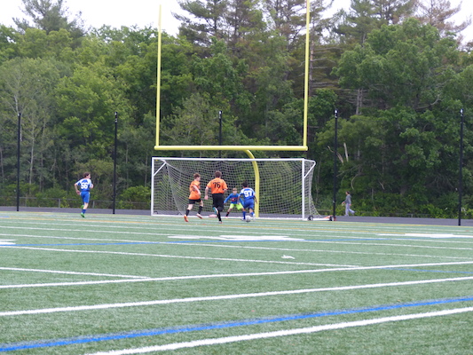 P1050967 (06-11-2016 17:01)