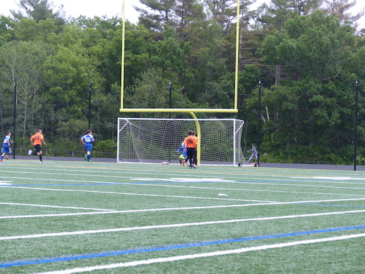 P1050968 (06-11-2016 17:01)