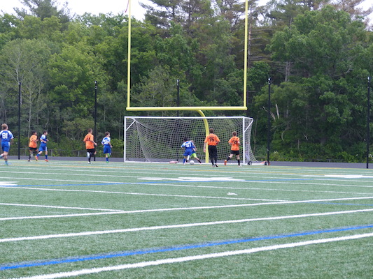 P1050969 (06-11-2016 17:01)