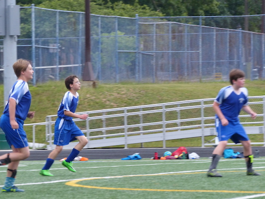 P1050971 (06-11-2016 17:02)