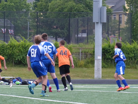 P1050972 (06-11-2016 17:02)