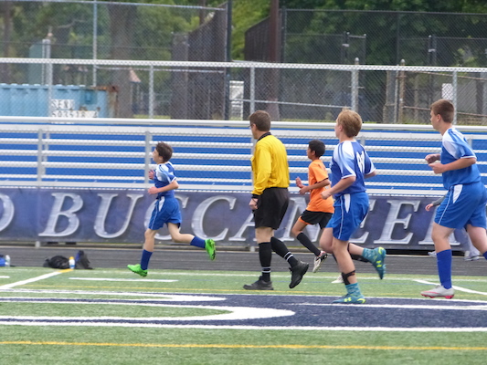 P1050973 (06-11-2016 17:02)