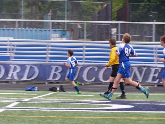 P1050974 (06-11-2016 17:02)