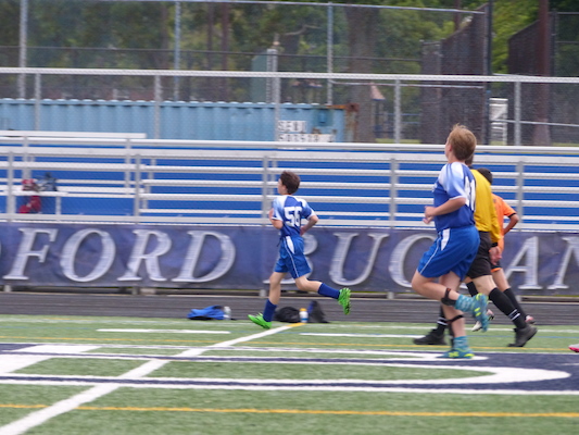 P1050975 (06-11-2016 17:02)