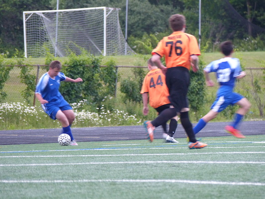 P1050978 (06-11-2016 17:04)