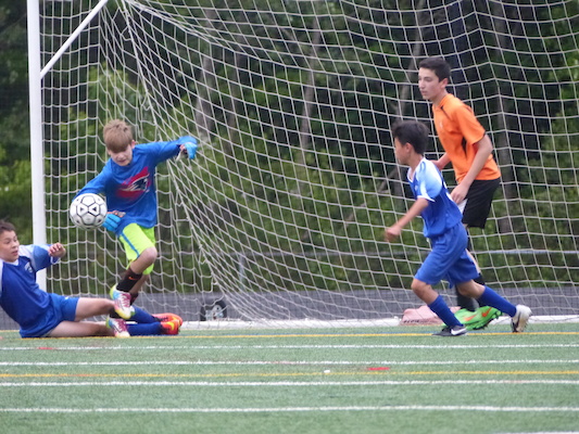 P1050979 (06-11-2016 17:04)