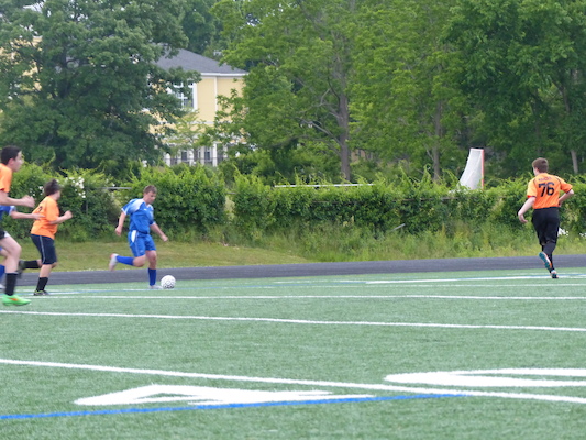 P1050981 (06-11-2016 17:06)