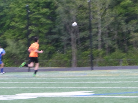 P1050982 (06-11-2016 17:06)