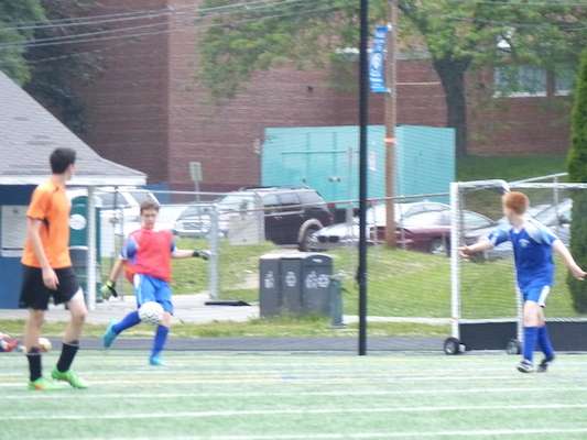 P1050991 (06-11-2016 17:10)