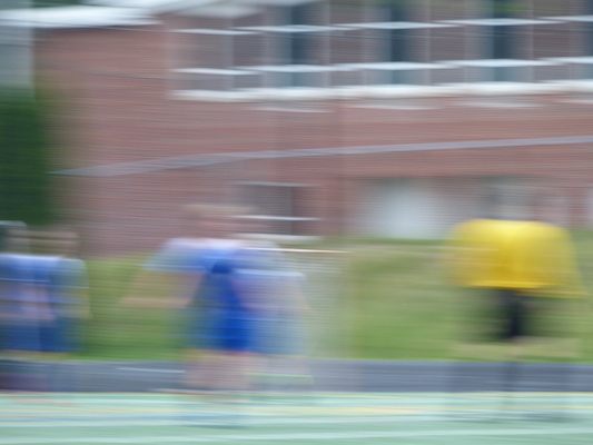 P1050992 (06-11-2016 17:10)