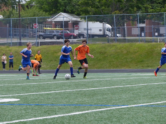 P1050993 (06-11-2016 17:10)