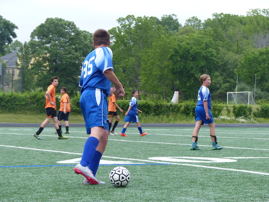 P1050994 (06-11-2016 17:11)