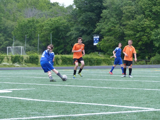 P1050998 (06-11-2016 17:11)