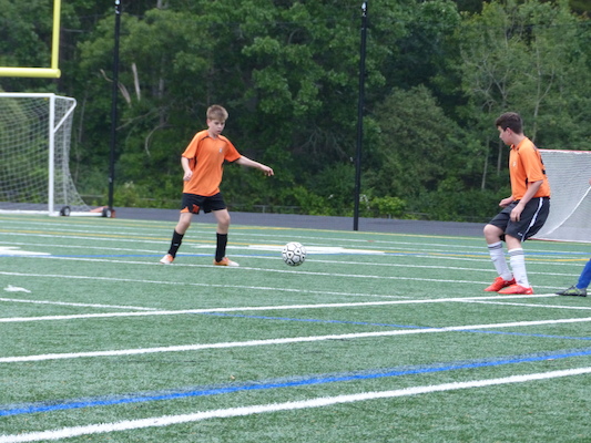 P1060002 (06-11-2016 17:12)