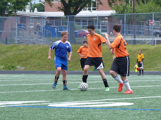 P1060004 (06-11-2016 17:14)