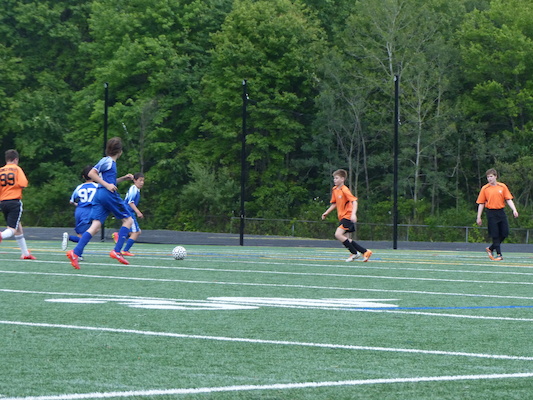 P1060009 (06-11-2016 17:18)