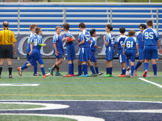 P1060015 (06-11-2016 17:19)