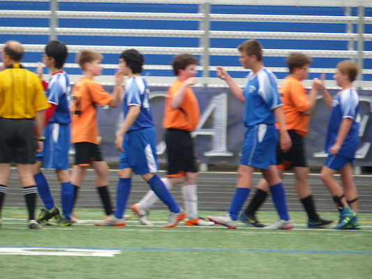 P1060017 (06-11-2016 17:20)