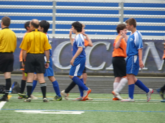 P1060018 (06-11-2016 17:20)