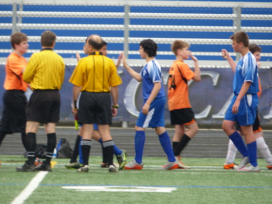 P1060019 (06-11-2016 17:20)