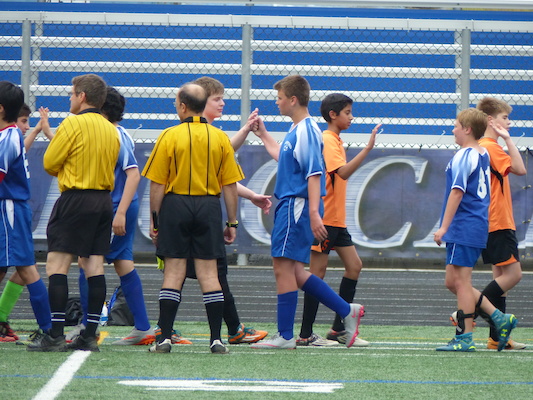 P1060020 (06-11-2016 17:20)