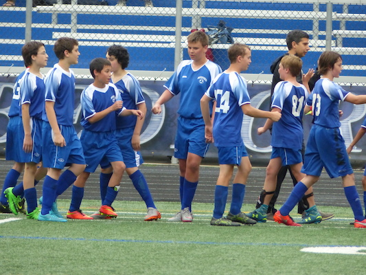 P1060021 (06-11-2016 17:20)