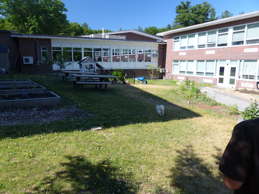 P1060064 (06-25-2016 09:25)