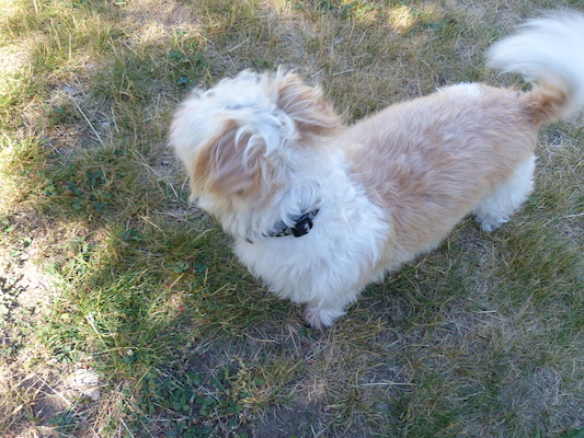 P1060068 (06-25-2016 09:26)