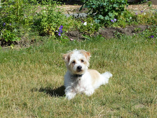 P1060108 (06-25-2016 09:41)