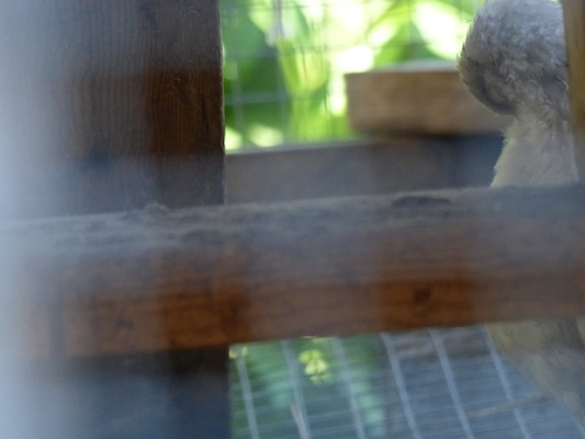 P1060124 (06-25-2016 09:45)