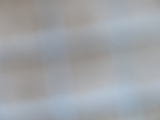 P1060126 (06-25-2016 09:46)