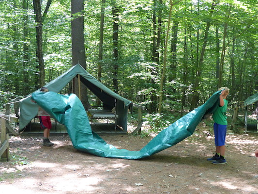 P1060143 (07-05-2016 13:18)