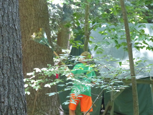 P1060144 (07-05-2016 13:18)