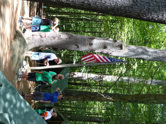 P1060148 (07-05-2016 13:49)