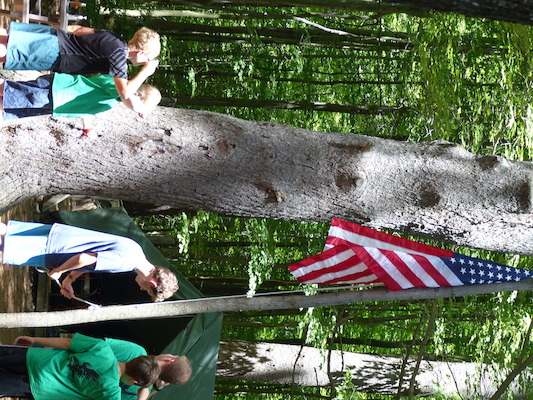 P1060149 (07-05-2016 13:49)