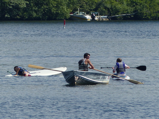 P1060153 (07-05-2016 15:36)