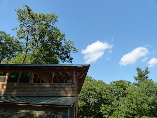 P1060163 (07-05-2016 16:05)