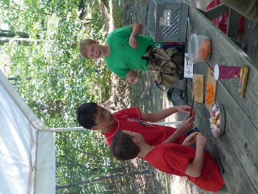 P1060167 (07-05-2016 16:40)