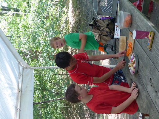 P1060169 (07-05-2016 16:40)