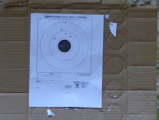 P1060175 (07-05-2016 17:02)