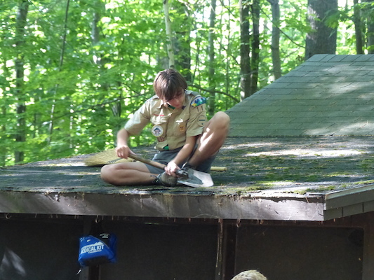 P1060178 (07-05-2016 17:37)