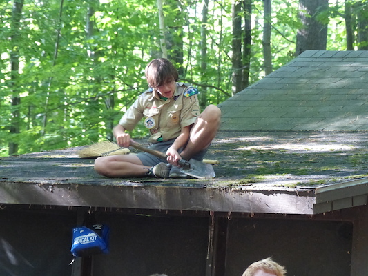 P1060179 (07-05-2016 17:37)