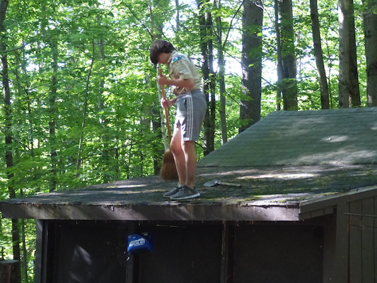 P1060180 (07-05-2016 17:37)