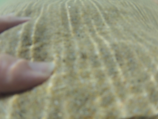 GOPR0374 (05-14-2012 10:39)