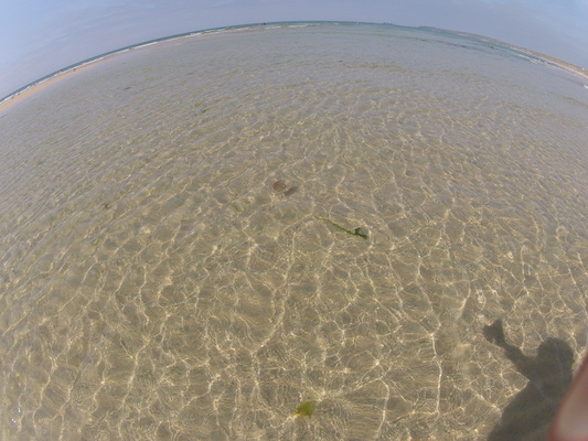 GOPR0559 (05-14-2012 11:14)